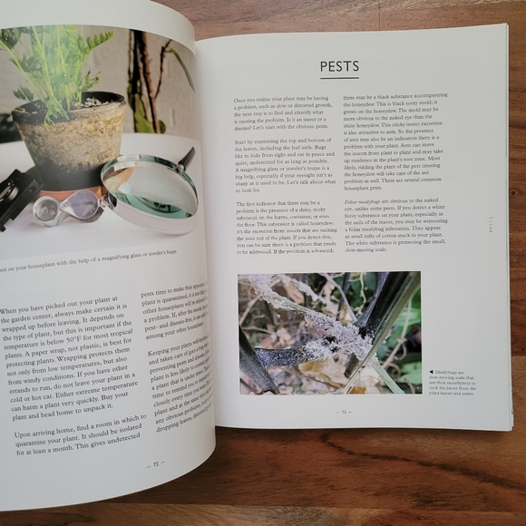 Houseplant book - Picture 3 of 4